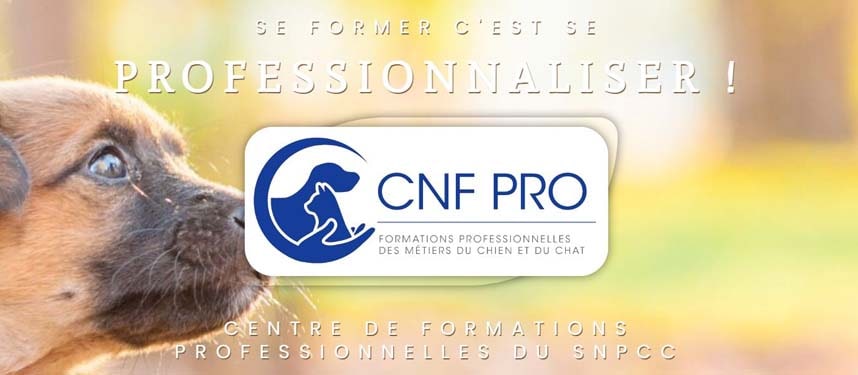 cnfpro